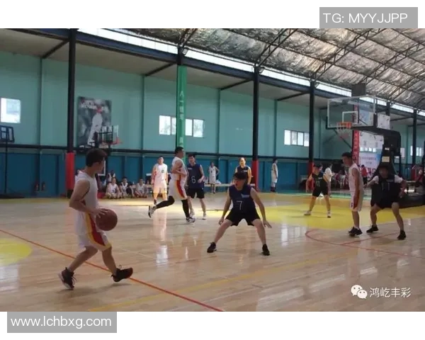 北京篮球队的意识探讨与发展现状分析及未来展望 北京篮球队的意识探讨与发展现状分析及未来展望