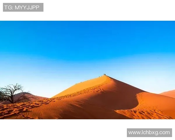 南非与纳米比亚激战正酣谁能在这场较量中笑到最后 南非与纳米比亚激战正酣谁能在这场较量中笑到最后