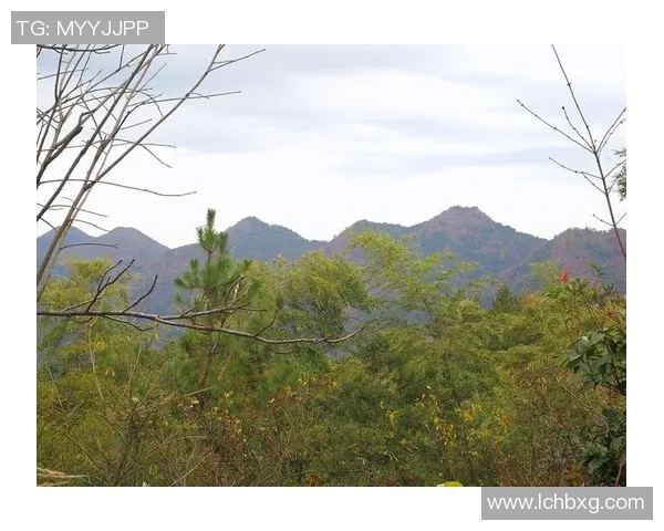 客山与奥伦堡的较量揭示了足球战术与团队合作的重要性
