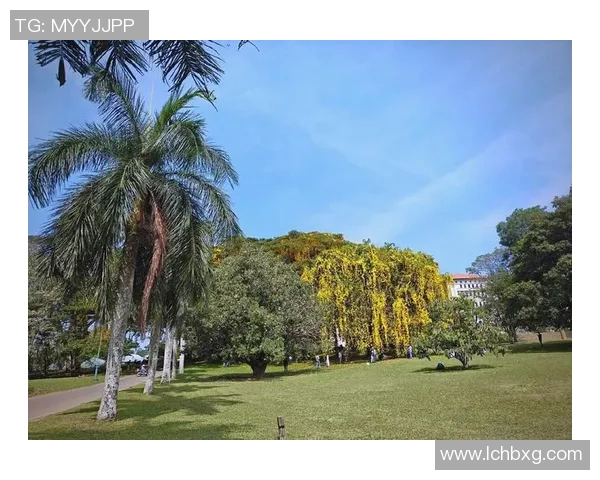 海南与斯里兰卡美景大比拼究竟哪个更胜一筹让我们一探究竟 海南与斯里兰卡美景大比拼究竟哪个更胜一筹让我们一探究竟